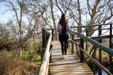 Güzel bir kadın bataklığın sırtındaki tahta pistte yürüyüş yapıyor.