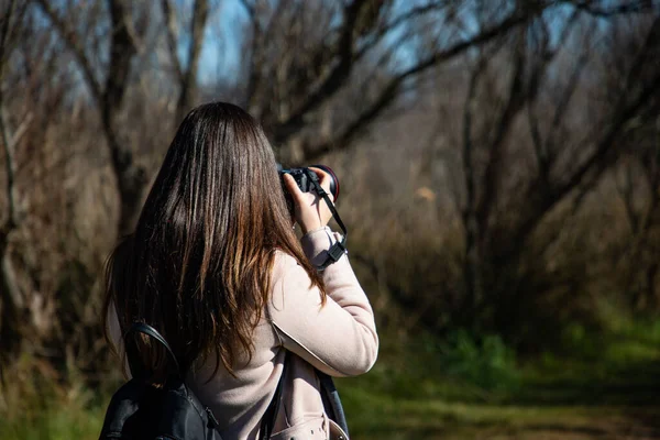 乾燥した木々の森の写真を撮る美しい女性がクローズアップ撮影 — ストック写真