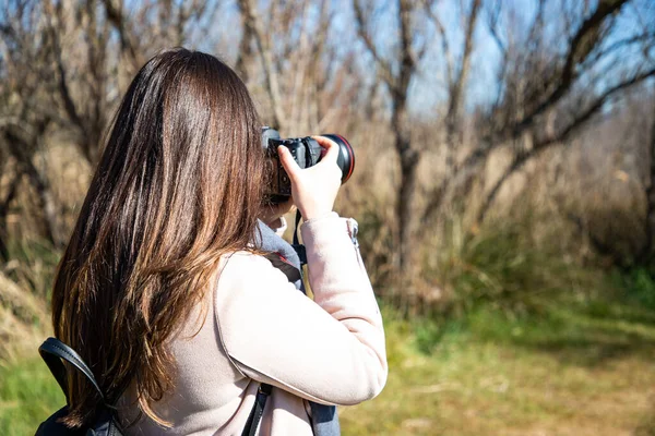 stock image Beautiful woman taking a picture of a dry trees forest back shot closeup