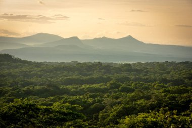 Arkaplanda Guanacaste volkanik aralığı olan Santa Rosa Ulusal Parkı 'nın yemyeşil ormanının üzerinde altın gün doğumu. Kosta Rika