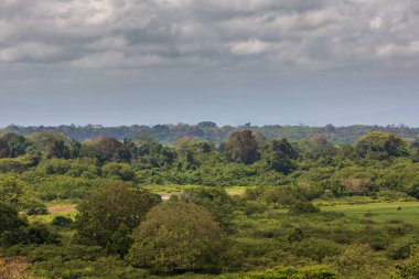 Kosta Rika 'daki Cano Negro Vahşi Yaşam Sığınağı' ndaki Ro Fro 'nun yanındaki gözlem kulesi..