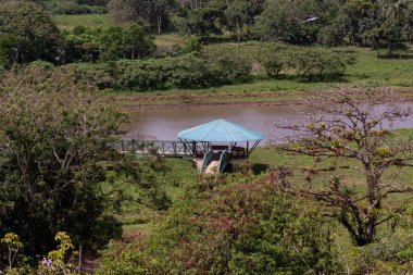 Kosta Rika 'daki Cano Negro Vahşi Yaşam Sığınağı' ndaki Ro Fro 'nun yanındaki gözlem kulesi..