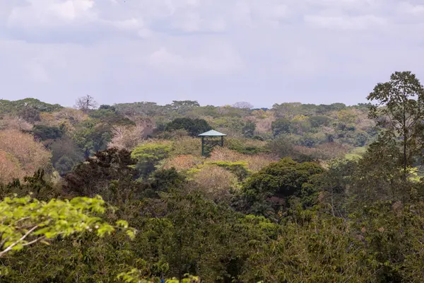 stock image Observation tower next to Ro Fro in Cano Negro Wildlife Refuge, Costa Rica.