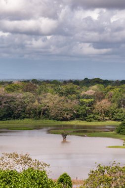 Cano Negro Vahşi Yaşam Sığınağı 'ndaki gölcüklerin manzarası. Arka planda Arenal Volkanı görülebiliyor. Bölgelerin doğal özellikleri ve biyolojik çeşitliliği gösteriliyor..