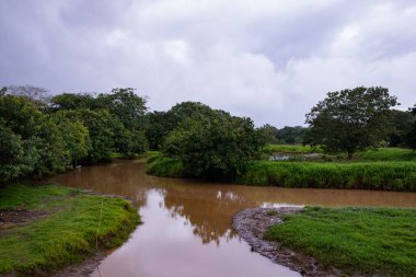 Frio Nehri Kosta Rika 'daki Cano Negro Vahşi Yaşam Sığınağı boyunca akar ve bulutlu bir gökyüzünün altındaki doğal manzarayı gözler önüne serer..