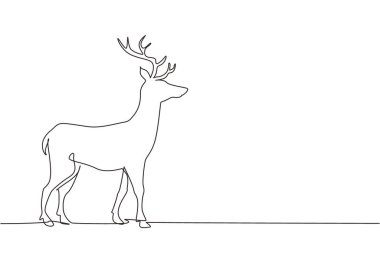 Tek sıra halinde vahşi orman geyiklerini çekiyor. Ulusal park logosu için duran vahşi ren geyiği. Doğa koruma için zarif memeli hayvan maskotu. Bir çizgi çizimi grafik tasarım vektör çizimi