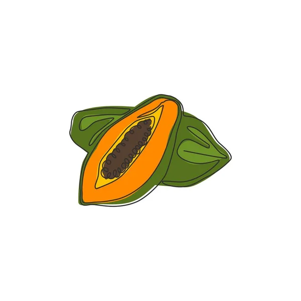 Una Línea Continua Dibujando Papayas Orgánicas Enteras Cortadas Rodajas Para — Vector de stock