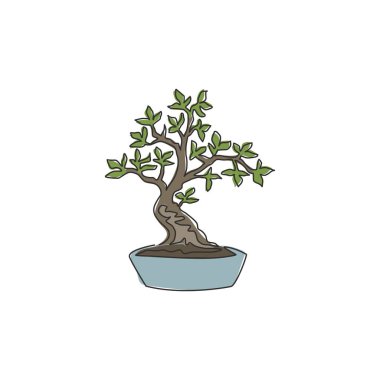 Güzel ve egzotik bonsai ağacı çizen kesintisiz bir çizgi. Ev dekorasyonu poster baskısı için. Bitki dükkanı logosu için dekoratif antik saksı bitkisi. Tek çizgi çizimi tasarım vektör çizimi