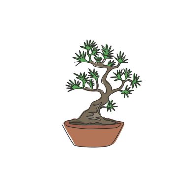 Güzel ve egzotik minyatür bonsai ağacı çizen tek çizgi. Ev duvarı dekoru poster baskısı için. Mağaza logosu için dekoratif eski saksı bitkisi. Modern sürekli çizgi çizimi tasarım vektörü illüstrasyonu