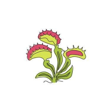Ev dekorasyonu için sürekli çizilmiş gizemli, taze Venüs sineği kapanı çizimi. Canavar karakter için korkunç dionaea muscipula. Bir çizgi çizimi tasarım vektörü illüstrasyonu