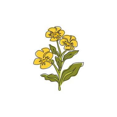 Ev dekorasyonu duvar baskısı posteri için tek sıra halinde güzel ranunculus çiziyor. Tebrik kartı süsü için basılabilir bir düğün çiçeği. Bir çizgi çizimi tasarım vektörü illüstrasyonu