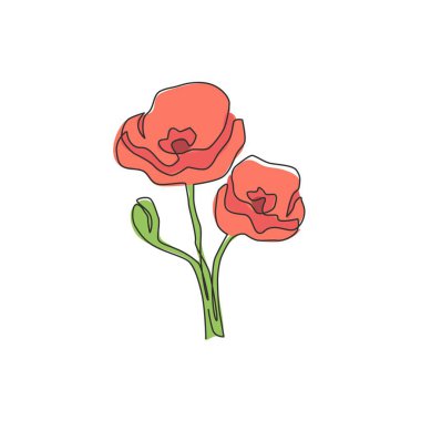 Ev dekorasyonu duvar resimleri için tek sıra güzel bitkiler çiziyor. Hatıra olarak basılabilir dekoratif haşhaş çiçeği. Devamlı çizgi çizimi tasarım vektörü illüstrasyonu