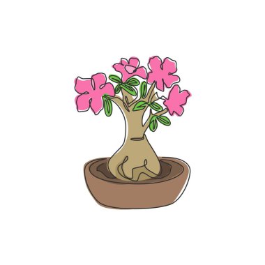 Bahçe logosu için tek sıra halinde taze, saksıda duran adenyum. Yazdırılabilir poster dekoratif çöl gülleri konsept park ev dekorasyonu. Modern bir çizgi çizimi tasarım vektörü çizimi