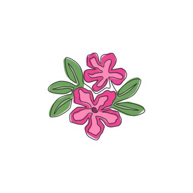Bahçe logosu için tek sıra taze güzellik adenyumu çizimi. Yazdırılabilir poster dekoratif çöl gülleri ev dekorasyonu konsepti. Modern bir çizim çizimi grafik vektör çizimi