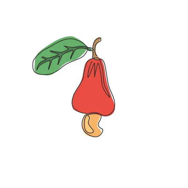 Meyve Bahçesi Logosu Kimliği Için Sağlıklı Organik Kaju Elması Çizen — Stok Vektör
