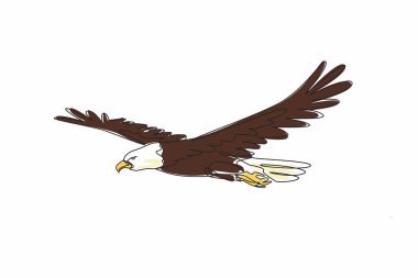 Uçan kel kartal kuşunun geniş kanatlarını özgürce açtığı tek bir çizgi. Amerika Birleşik Devletleri 'nin maskotu. Ulusal Kuş Günü. Yıllık uluslararası kutlama etkinliği