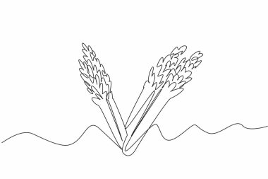 Continuous line drawing of green asparagus form letter V. Follow vegan lifestyle for healthy life. Vegan plant concept for flyer, poster, social media clipart