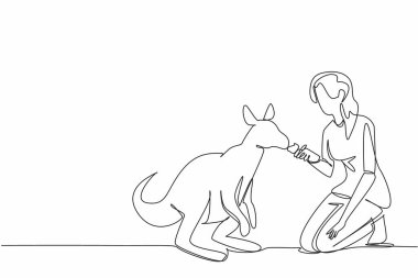 Tek sıra halinde, sıradan giysiler içinde bir kadının kanguruya çömelip havuç yedirmesi. Sabır ve özenle vermek. Sevgi dolu. Ulusal Hayvanat Bahçesi Aşıkları Günü. Devamlı çizgi tasarımı grafik çizimi