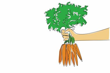 Tek bir çizgi, çok kalın yaprak uçlu birkaç havucu tutan bir el çiziyor. Havuç çiftçileri istenilen sonuçları alıyorlar. Sağlıklı. Uluslararası Havuç Günü. Devamlı çizgi tasarımı grafik çizimi