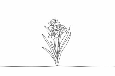 Continuous one line drawing three stalks of daffodil flowers. Trying to breed. Medical plants. The kindness of many people. Antioxidant plant. Daffodil Day. Single line draw design vector illustration clipart