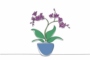 Sürekli bir çizgi halinde saksılara orkide çiçekleri çiziyor. Süslü bitkiler saç yağı malzemesi olarak kullanılabilir. Güzel şifalı bitkiler. Ulusal Orkide Günü. Tek çizgi çizimi tasarım vektör çizimi