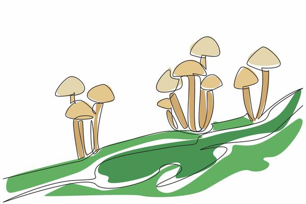 Single continuous line drawing armillaria mellea mushroom on moss. Also known as honey mushroom. Parasites that damage other plants. Toxic. Day of the Mushroom. One line design vector illustration