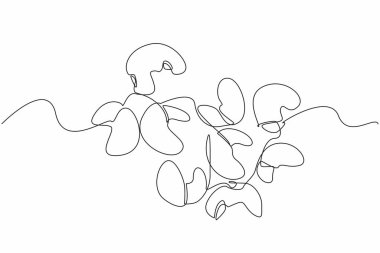 Tek sıra halinde, kısmen çikolata kaplı kaju fıstıkları çiziyor. Kalın çikolata yayma işlemi. Ulusal Çikolata kaplı Kaju Bayramı. Bir çizgi tasarımı vektör illüstrasyonu