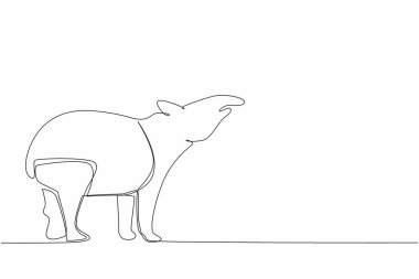 Tek sıra halinde tapir pozu alın. Güney Amerika 'ya özgü kara memelileri. Onun yiyeceği taze yapraklardır. Burun fonksiyonları yemek için kullanılır. Dünya Tapir Günü. Bir çizgi tasarımı vektör illüstrasyonu