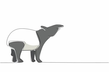 Tek sıra halinde tapir pozu alın. Güney Amerika 'ya özgü kara memelileri. Onun yiyeceği taze yapraklardır. Burun fonksiyonları yemek için kullanılır. Dünya Tapir Günü. Bir çizgi tasarımı vektör illüstrasyonu
