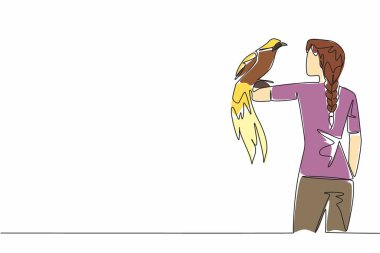 Tek sıra halinde, kadının üzerine tünemiş cennet kuşu çiziyor. Vahşi yaşam parkında en çok ziyaret edilen hayvanlardan biri. En sevdiklerim. Kadın Tutucu Kuş. Devamlı çizgi tasarımı grafik çizimi