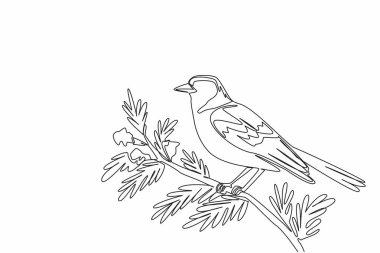 Tek bir çizgi, yapraklar ve çiçeklerle bir ağaç dalına tünemiş papatya kuşu çiziyor. Kuşlar mutluluğun sembolü. Ötücü kuş. Uluslararası Şafak Korosu Günü. Devamlı çizgi tasarımı grafik çizimi