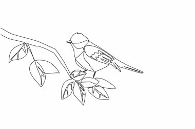 Continuous one line drawing coal tit perched on a tree branch with leaves. The very active little babbler. The songbird. International Dawn Chorus Day. Single line draw design vector illustration