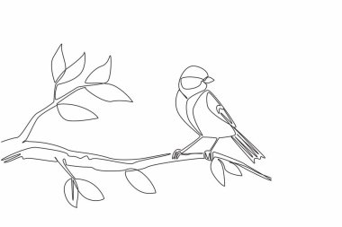 Single continuous line drawing great tit bird perched on a tree branch with leaves. The lively and colorful chirper. The songbird. International Dawn Chorus Day. One line design vector illustration