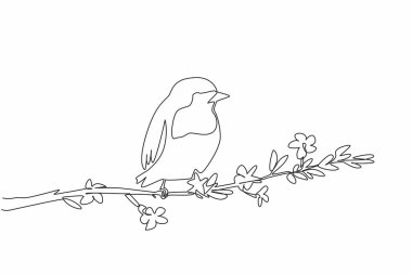 Yapraklar ve çiçeklerle bir ağaç dalına tünemiş nar bülbülü çizen tek bir çizgi. Amerika ve Avrupa 'nın ünlü kuşları. Ötücü kuş. Uluslararası Şafak Korosu Günü. Devamlı çizgi tasarımı grafik çizimi