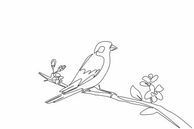 Tek sıra halinde, yeşil ispinoz kuşu yapraklar ve çiçeklerle bir ağaç dalına tünemişti. Tohum yiyen ötücü kuş. Uluslararası Şafak Korosu Günü. Bir çizgi tasarımı vektör illüstrasyonu