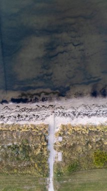 Kuzey Almanya 'daki Glowe plajının insansız hava görüntüsü. Yüksek kalite fotoğraf