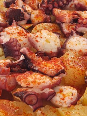 Geleneksel ahşap tabakta İspanyol pulpo tabağı. Yüksek kalite fotoğraf