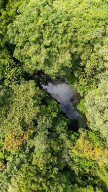 La Fortuna yakınlarındaki Kosta Rika 'da Ecocentro Danaus. Orman ve orman bölgesi. Hava aracı görüntüsü. Yüksek kalite fotoğraf