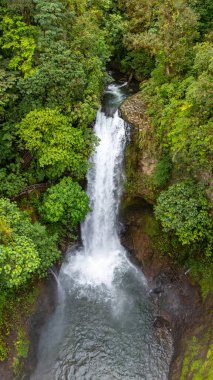 Kosta Rika 'daki La Paz şelalesinin ve şelalenin sarıldığı büyük yağmur ormanının güzel insansız hava aracı görüntüsü. Yüksek kalite fotoğraf