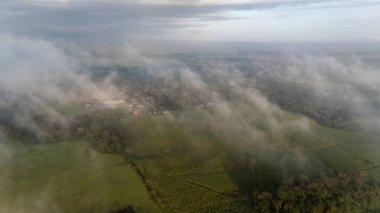 La Fortuna Bölgesi 'ndeki Kosta Rika yağmur ormanlarının güzel hava manzarası. Yüksek kalite fotoğraf