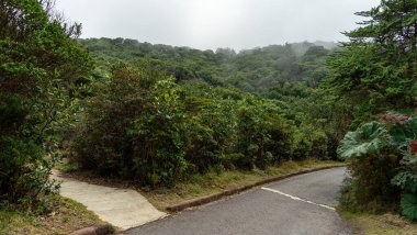 Orta Amerika 'daki Kosta Rika' nın Poas volkanının panoramik manzarası. Yüksek kalite fotoğraf
