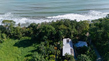 Playa Negra plajının insansız hava aracı görüntüsü, güzel bitki örtüsü ve siyah kumlu tropikal plaj, Punta Uva, Puerto Viejo, Kosta Rika. Yüksek kalite fotoğraf