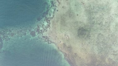 Panama. Tropikal Ada Hava Manzarası. Vahşi sahil şeridi yemyeşil egzotik orman. Cayo Mercanı. Bastimentos Adası 'ndaki Kızıl Kurbağa Sahili, Bocas del Toro, Orta Amerika, Panama. Yüksek kalite fotoğraf