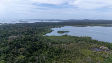 Panama. Tropikal Ada Hava Manzarası. Vahşi sahil şeridi yemyeşil egzotik orman. Cayo Mercanı. Bastimentos Adası 'ndaki Kızıl Kurbağa Sahili, Bocas del Toro, Orta Amerika, Panama. Yüksek kalite fotoğraf