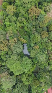La Fortuna yakınlarındaki Kosta Rika 'da Ecocentro Danaus. Orman ve orman bölgesi. Hava aracı görüntüsü. Yüksek kalite fotoğraf