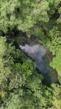 La Fortuna yakınlarındaki Kosta Rika 'da Ecocentro Danaus. Orman ve orman bölgesi. Hava aracı görüntüsü. Yüksek kalite fotoğraf