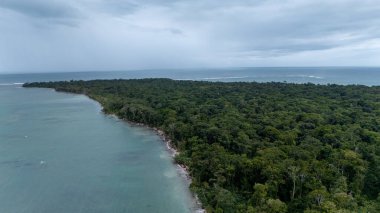 Kosta Rika 'daki Cahuita Ulusal Parkı' nın insansız hava aracı görüntüsü. Yüksek kalite fotoğraf