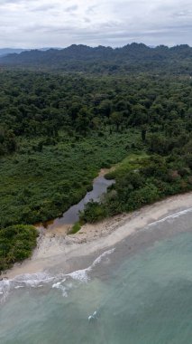 Kosta Rika 'daki Cahuita Ulusal Parkı' nın insansız hava aracı görüntüsü. Yüksek kalite fotoğraf