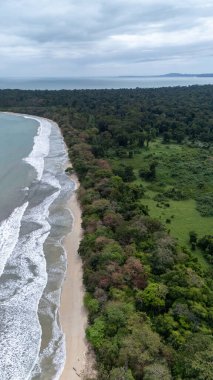 Kosta Rika 'daki Cahuita Ulusal Parkı' nın insansız hava aracı görüntüsü. Yüksek kalite fotoğraf