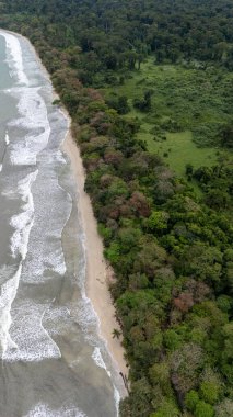 Kosta Rika 'daki Cahuita Ulusal Parkı' nın insansız hava aracı görüntüsü. Yüksek kalite fotoğraf